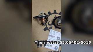 Termostato 65.06402-5015 65.064025015 6506402-5015