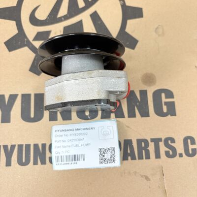 Hyunsang Excavator Parts Fuel Pump 04255394 For BFM1012 BF4M1013 BF6M1013